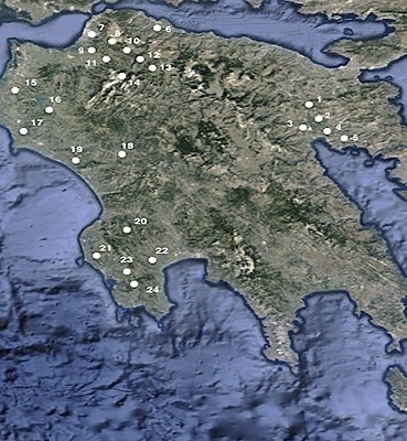 Some Considerations on the Connections between Western  Peloponnese and Cyprus in the Mycenaean Period